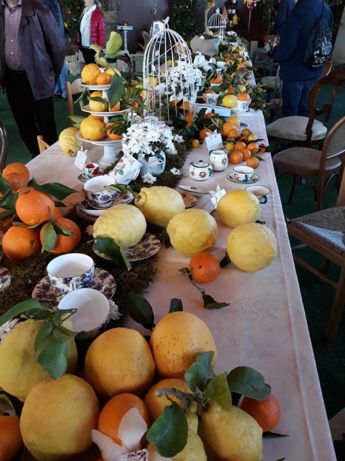 Appartamento Alpini Cannero Riviera Extérieur photo
